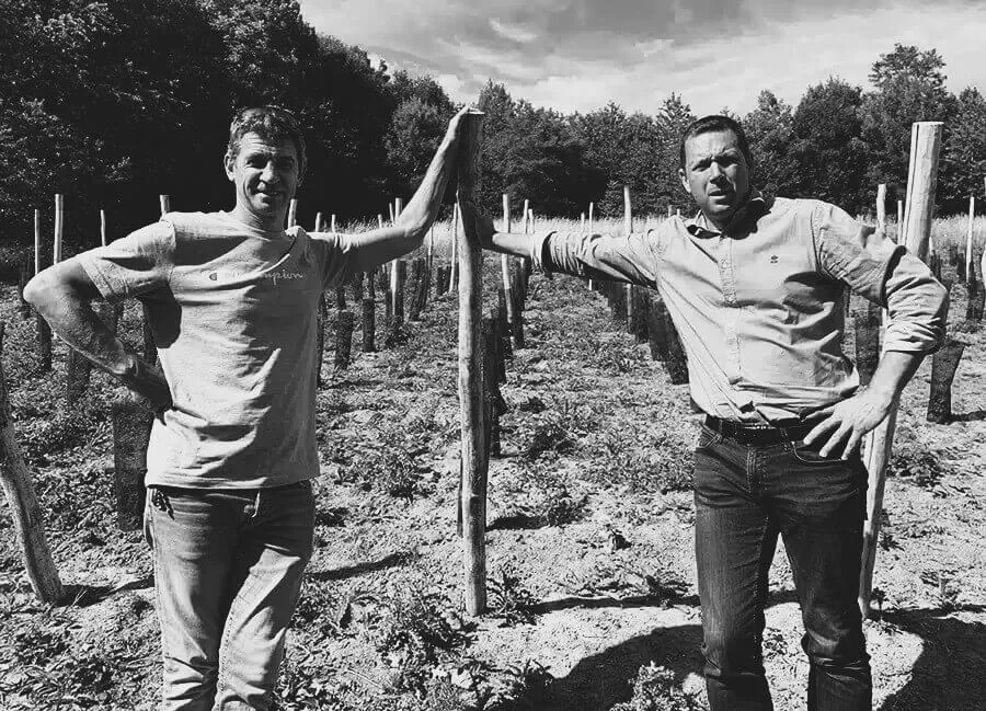 Vignoble Le Vignoble Dieu Des Monts