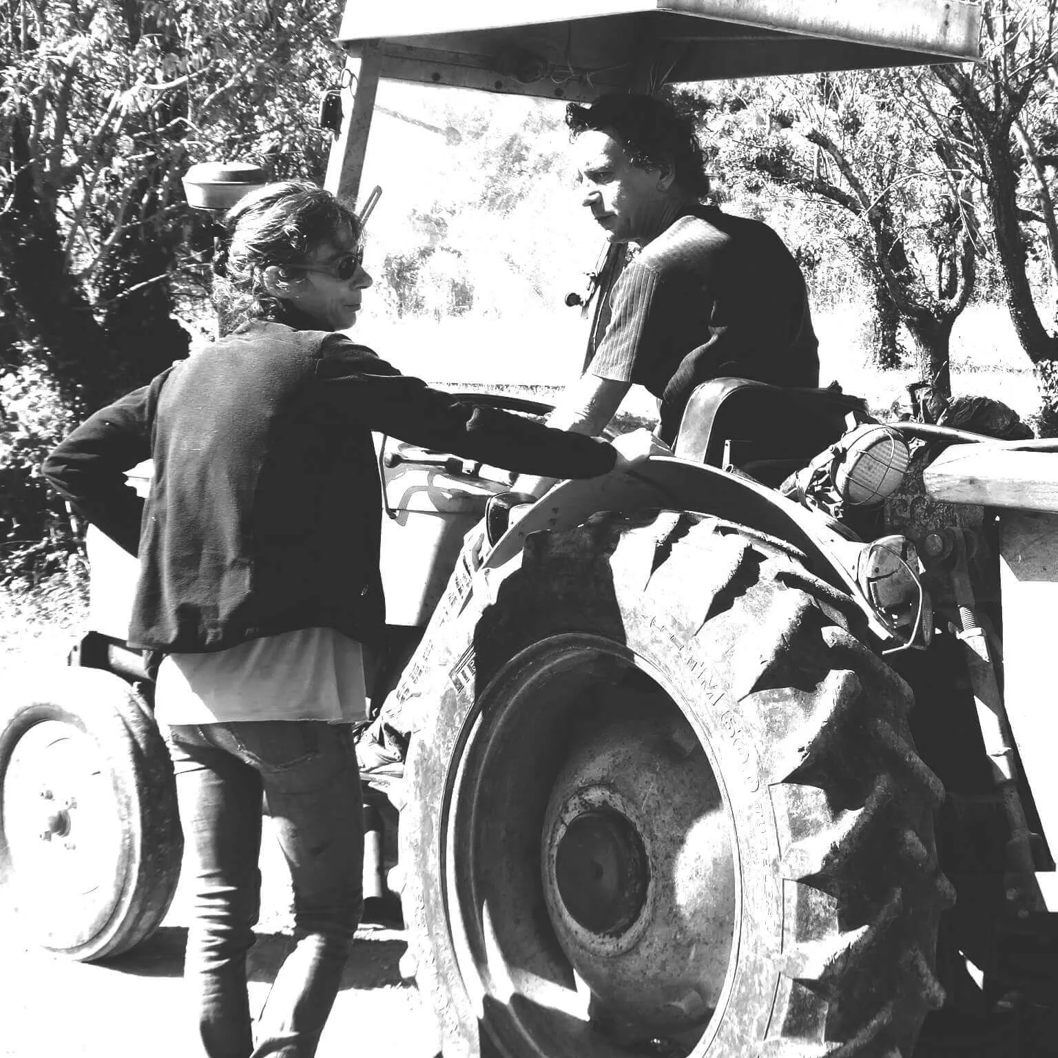 Vignoble Domaine de Babio