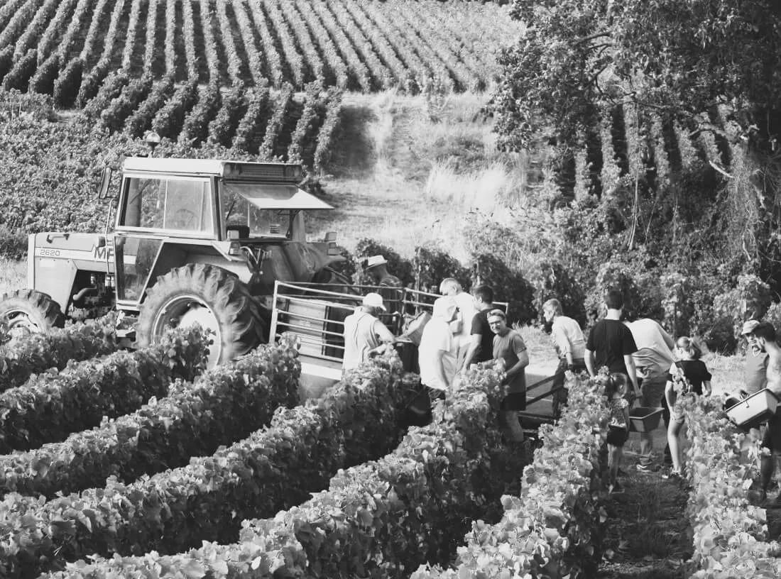 Vignoble Champagne Jean-Marc Bouché