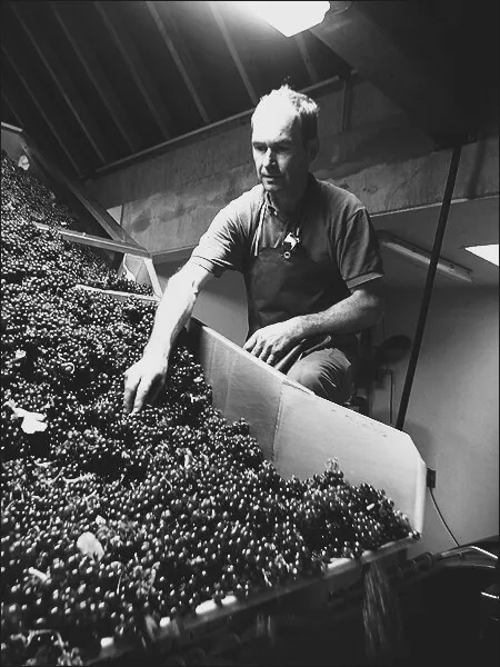 Vignoble Domaine Moellinger