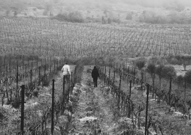 Vignoble Domaine les Cascades