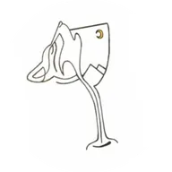 Logo Domaine des Crocs Blancs
